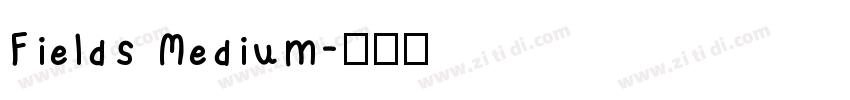Fields Medium字体转换